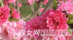 女性多囊卵巢是由什么引起的
